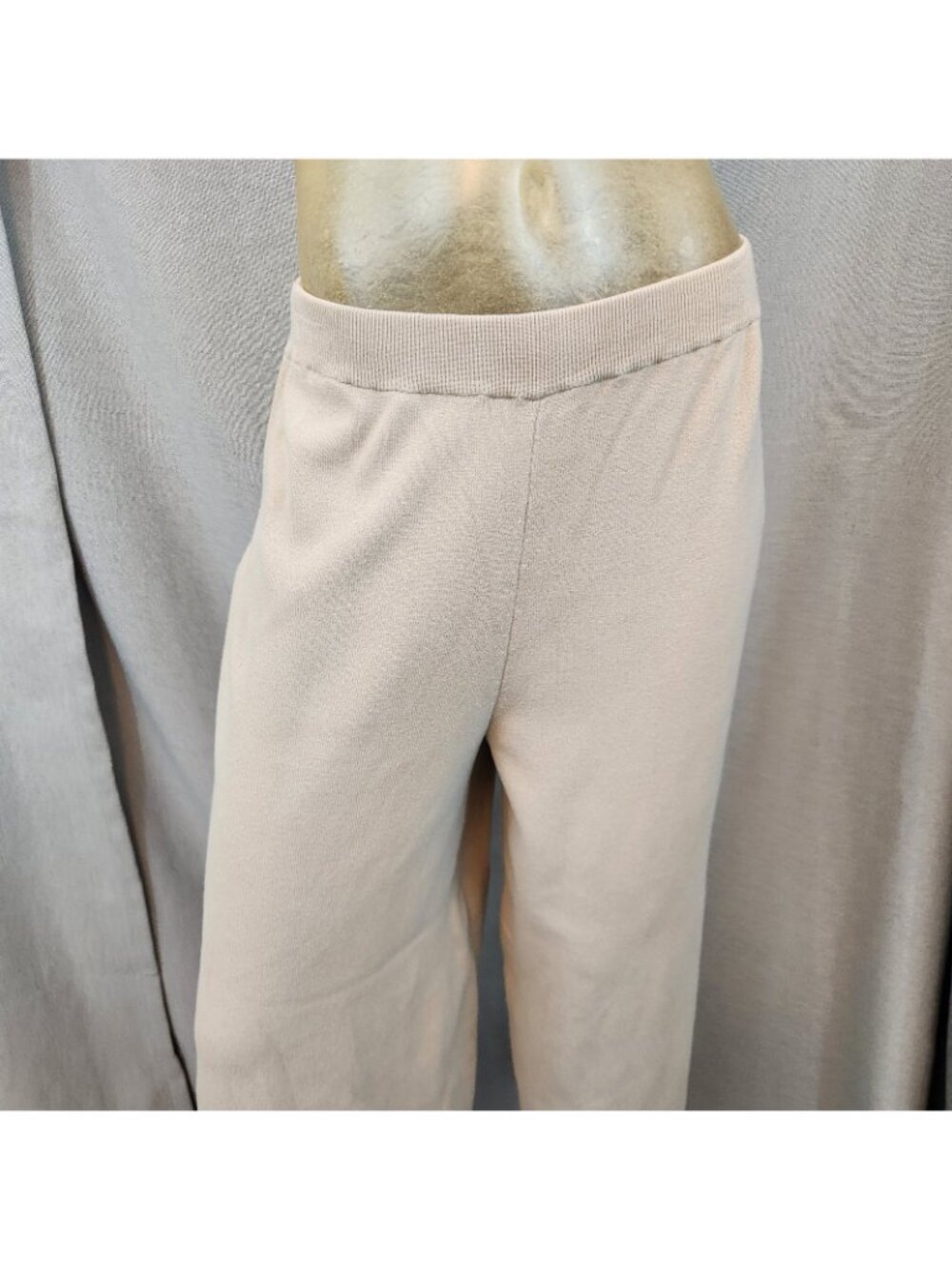 Chicos Beige Brown Casual Stretch Knit Cropped Pants Size 1 MEDIUM 8 Elastic Wst - Picture 2 of 6
